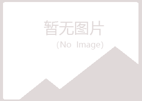 乐业县女孩能源有限公司